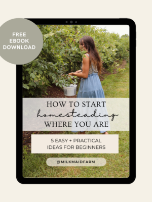 Homesteading Guide: 5 Ways To Start Homesteading