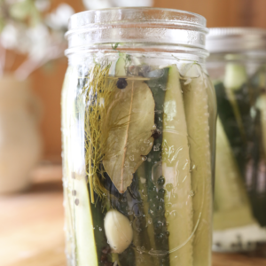 Easy Homemade Pickles Recipe