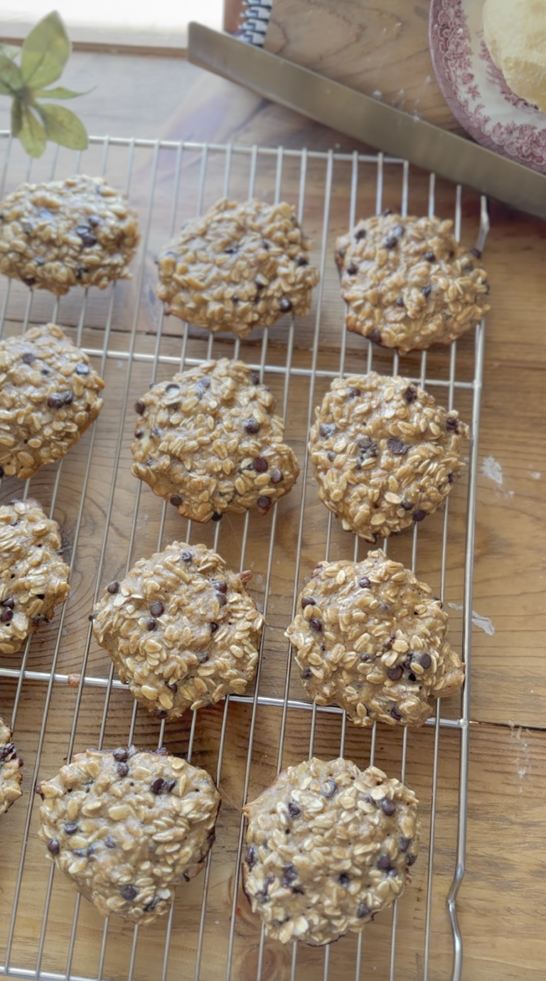 Protein Cookie Recipe The Entire Family Will Love!