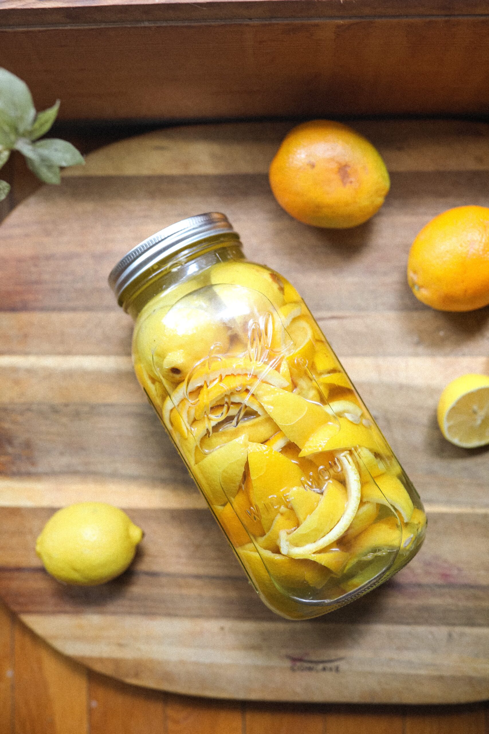 How to Make Non-Toxic All-Purpose Citrus Cleaner