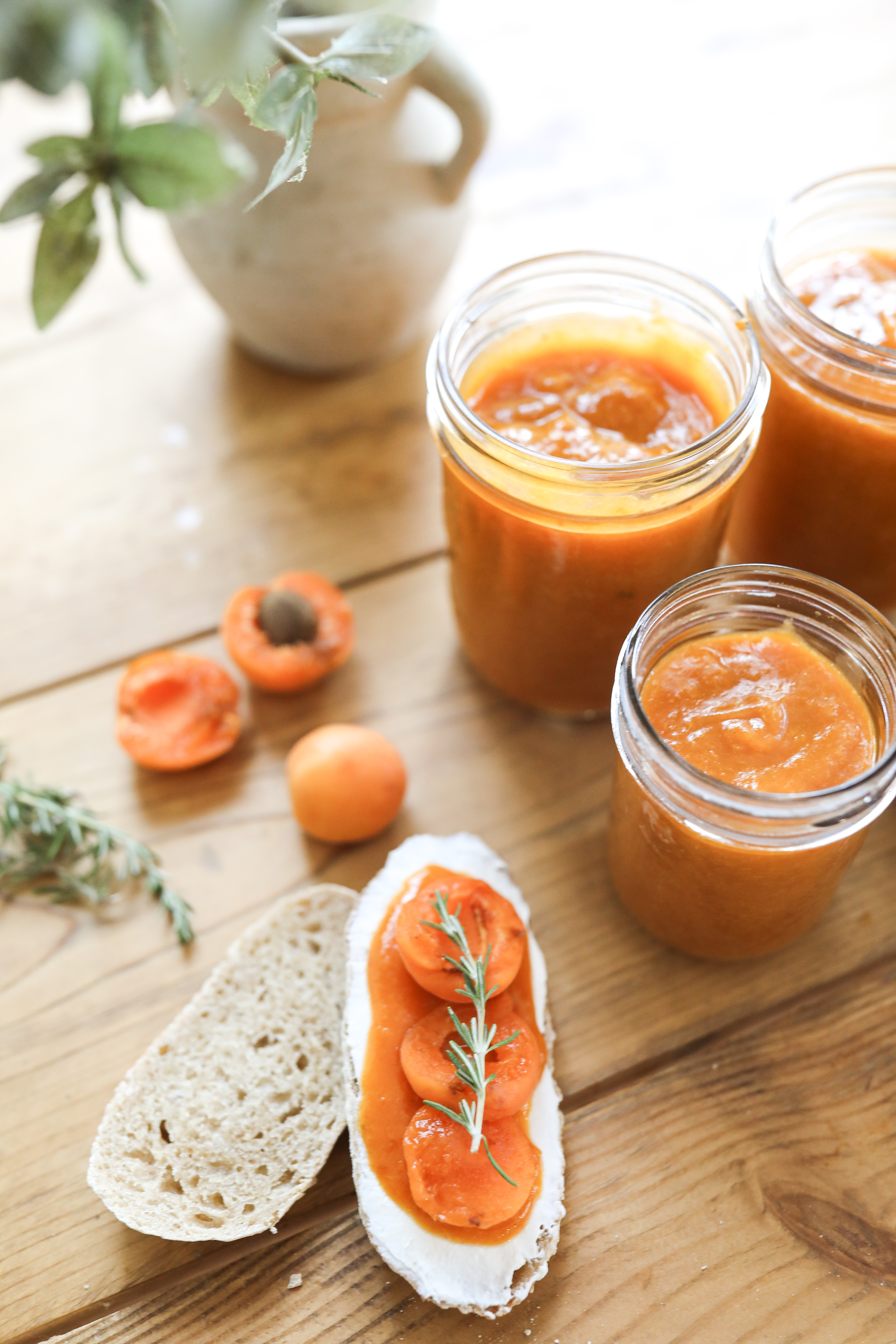 Homemade Apricot Jam Recipe